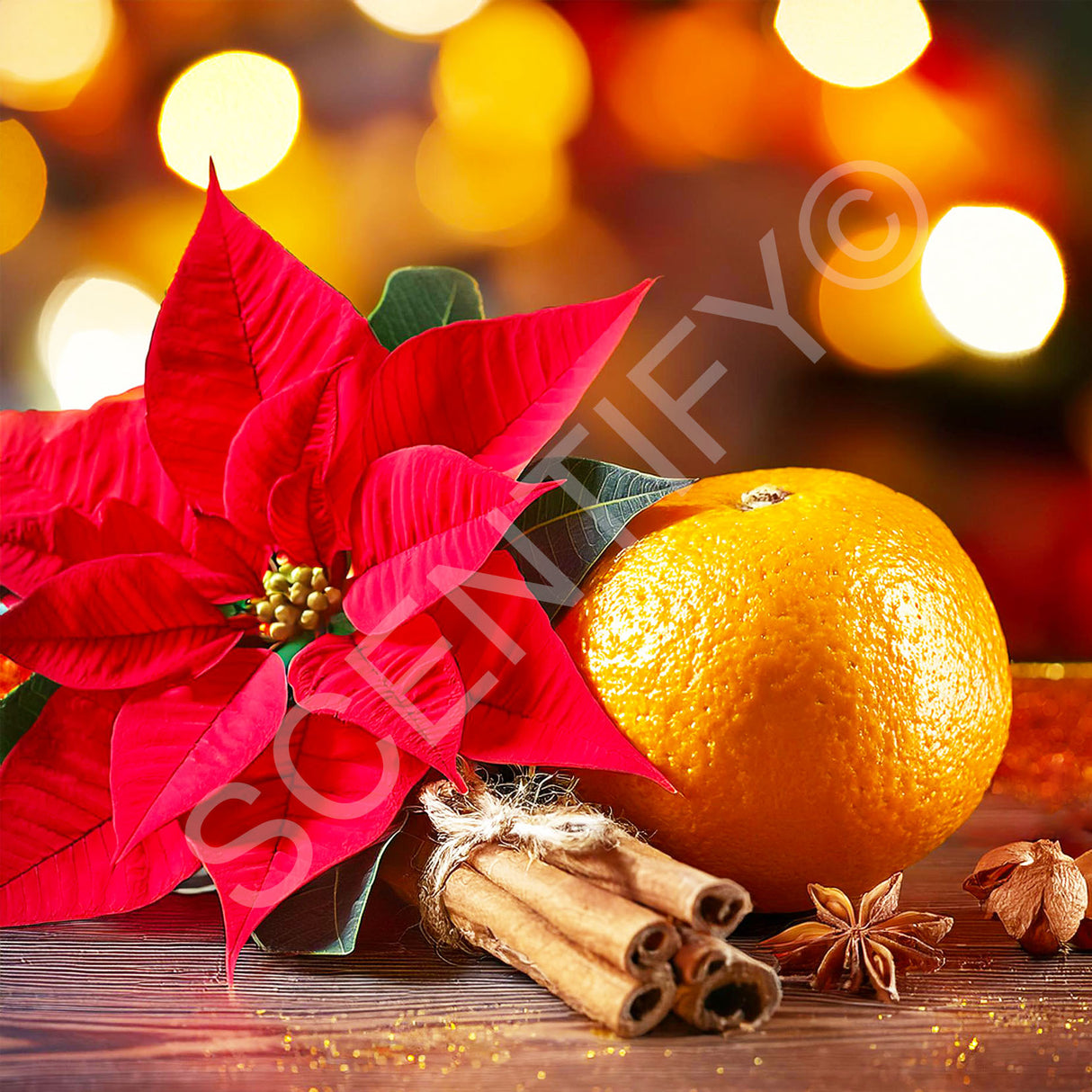 Christmas Spice Fragrance Oil For Wax Melts, SCENTIFY®