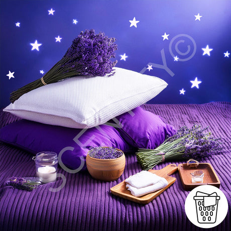 Dreams Stoppable Fragrance Oil For Wax Melts, SCENTIFY®