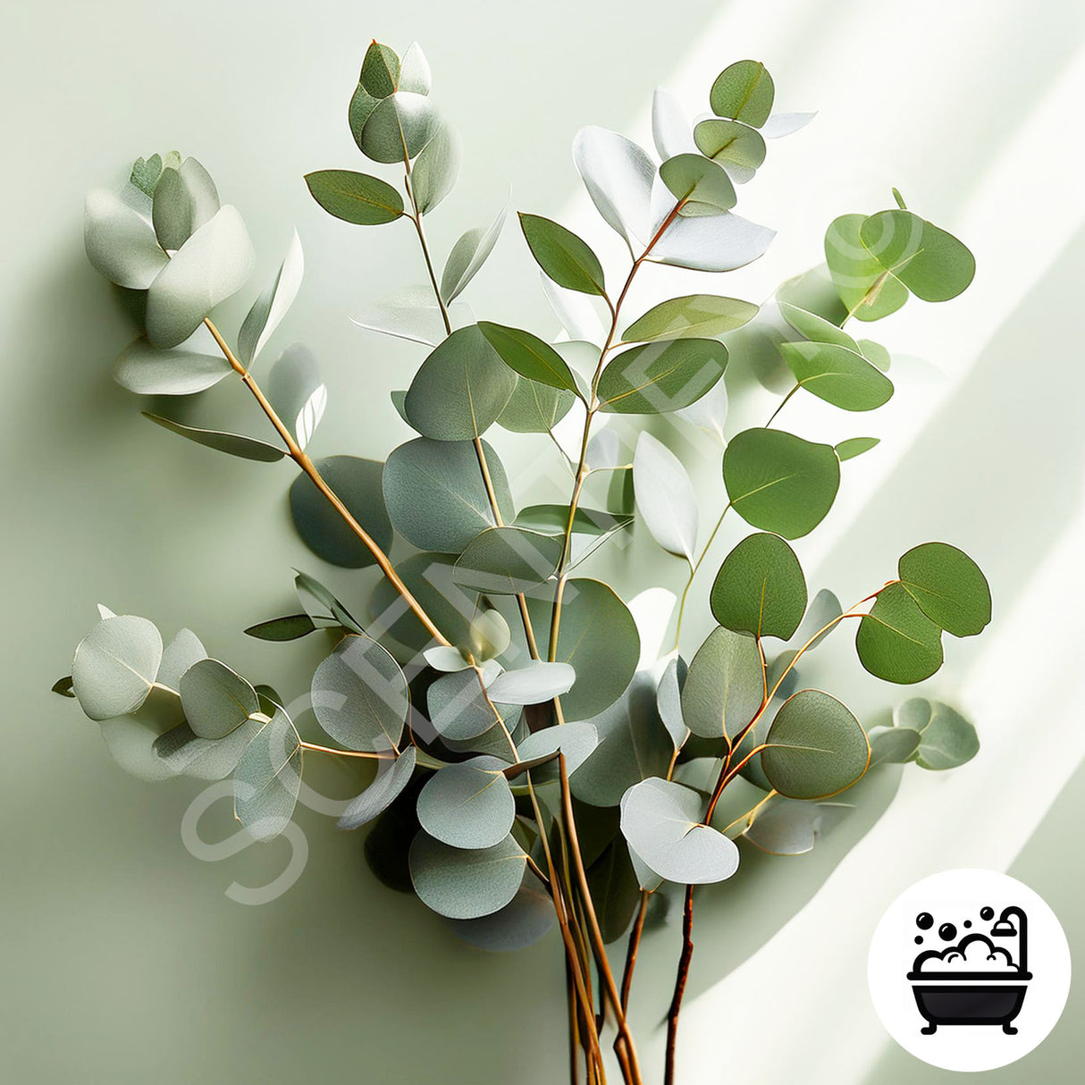 Eucalyptus Spearmint Fragrance Oil
