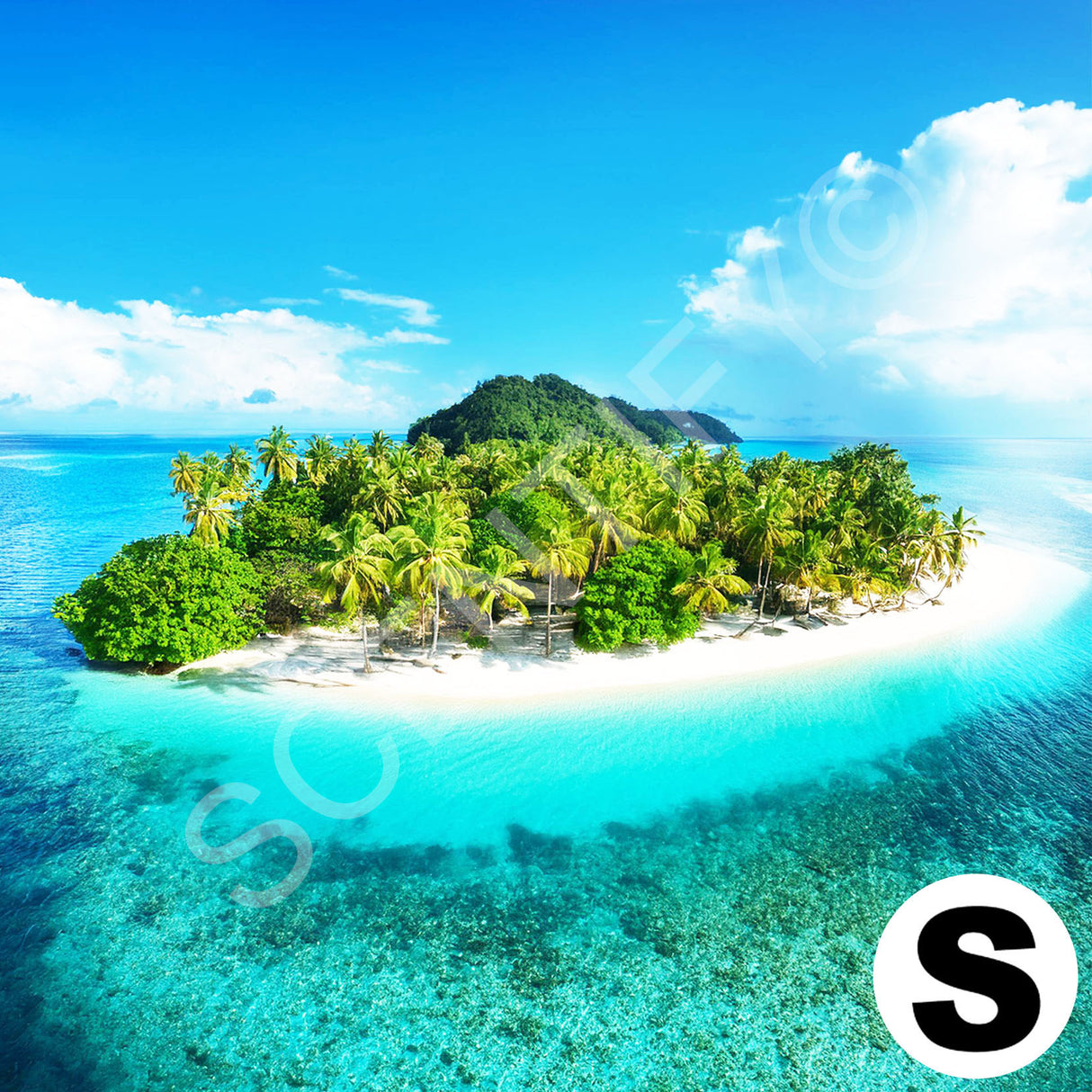 Exotic Islands Fragrance Oil For Wax Melts, SCENTIFY®