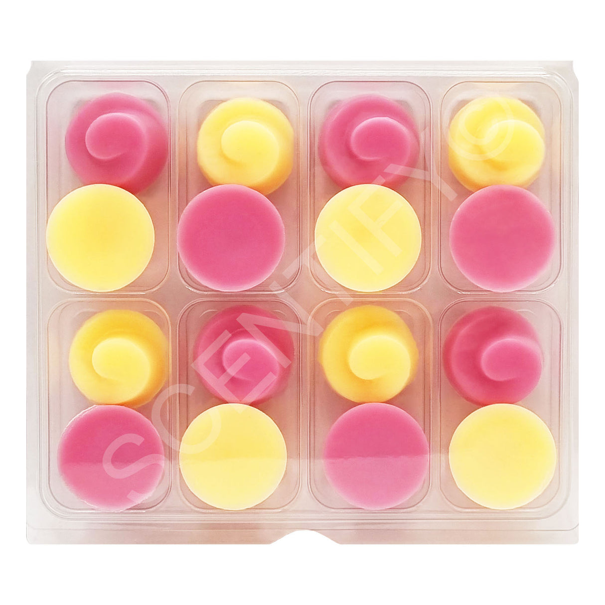 HB Clamshell - 8 Segments | Wax Melts | SCENTIFY Ltd