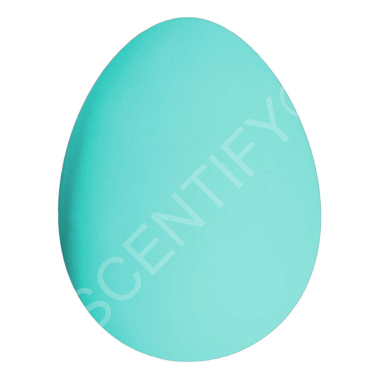 Large Plain Egg Mould