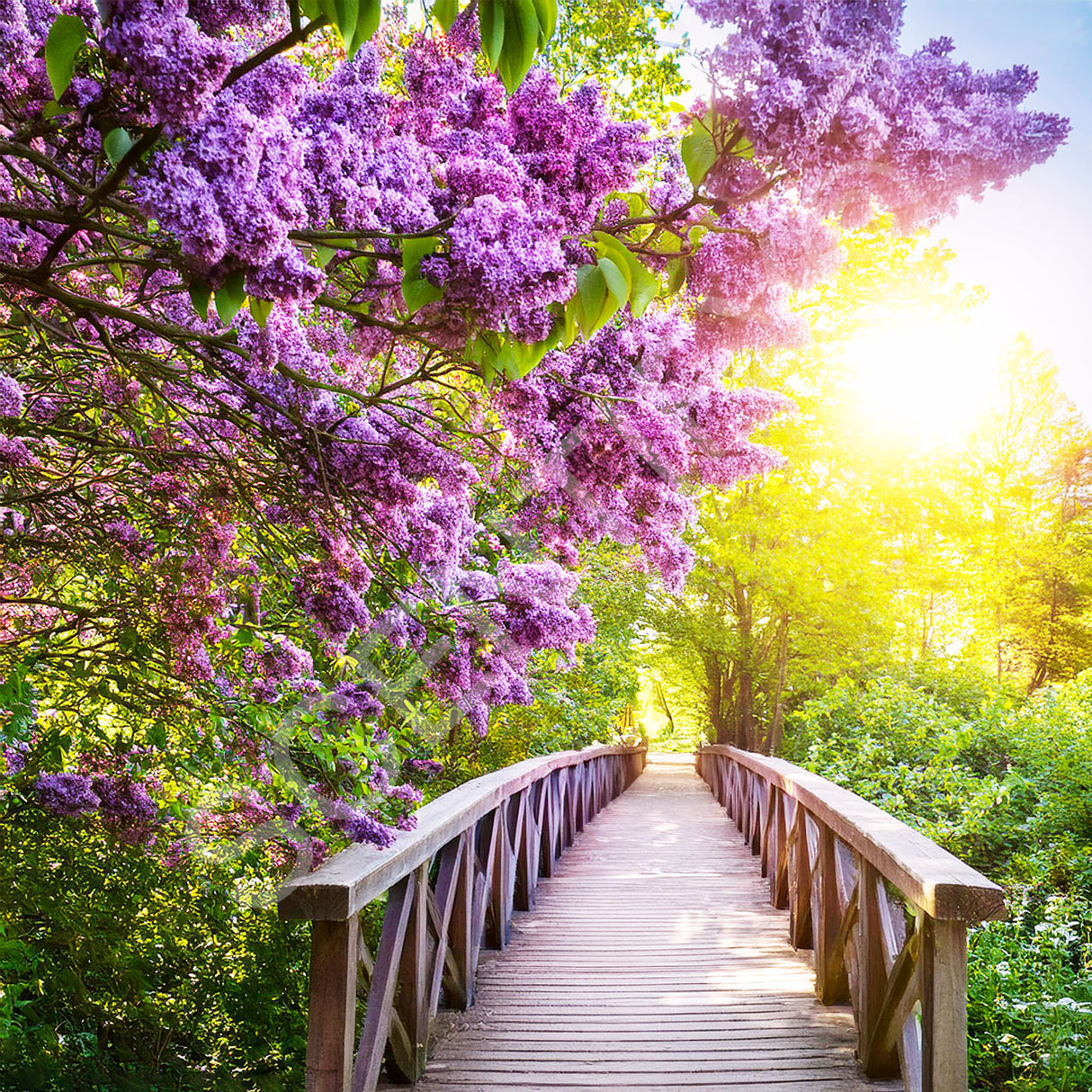 Lilac Blossom Fragrance Oil For Wax Melts, SCENTIFY®