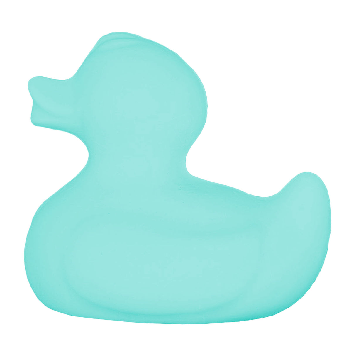 Rubber Ducky Mould