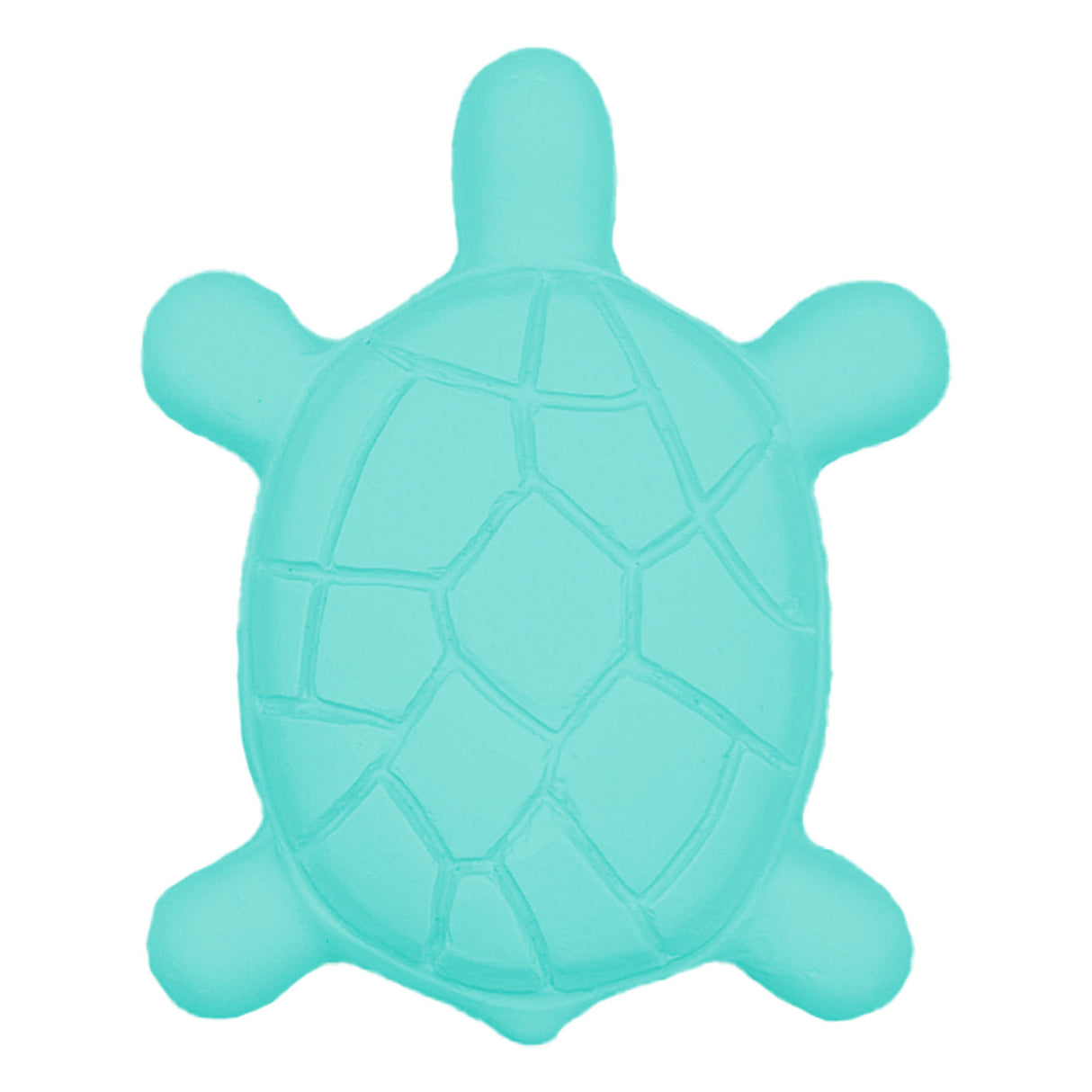 Turtle Mould