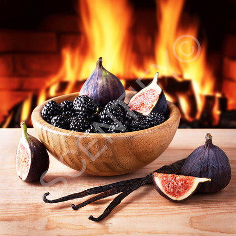Warm Vanilla Fig Fragrance Oil For Wax Melts, SCENTIFY®