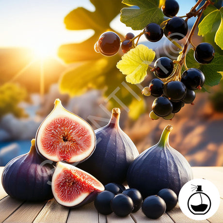 Wild Fig & Cassis Fragrance Oil For Wax Melts, SCENTIFY®