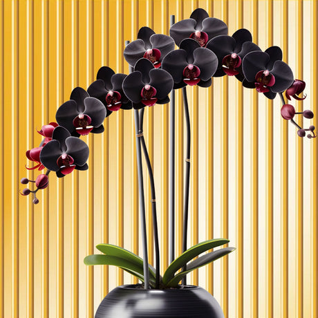 Dark Orchid Fragrance Oil | Truly Personal | Candles, Wax Melts, Soap, Bath Bombs