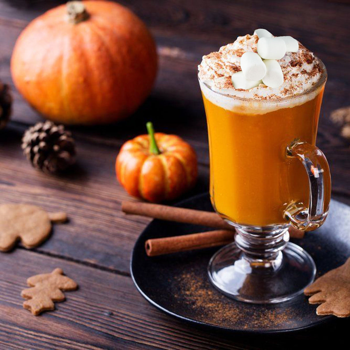Marshmallow Pumpkin Latte Fragrance Oil | Truly Personal | Candles, Wax Melts, Soap, Bath Bombs