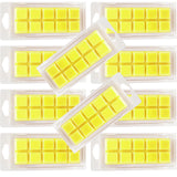 Snap Bar Clamshell - 10 Section | Wax Melts | Truly Personal Ltd